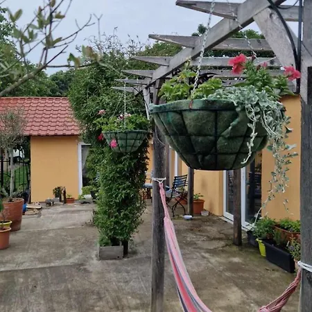 Casa vacanze Mountain View *